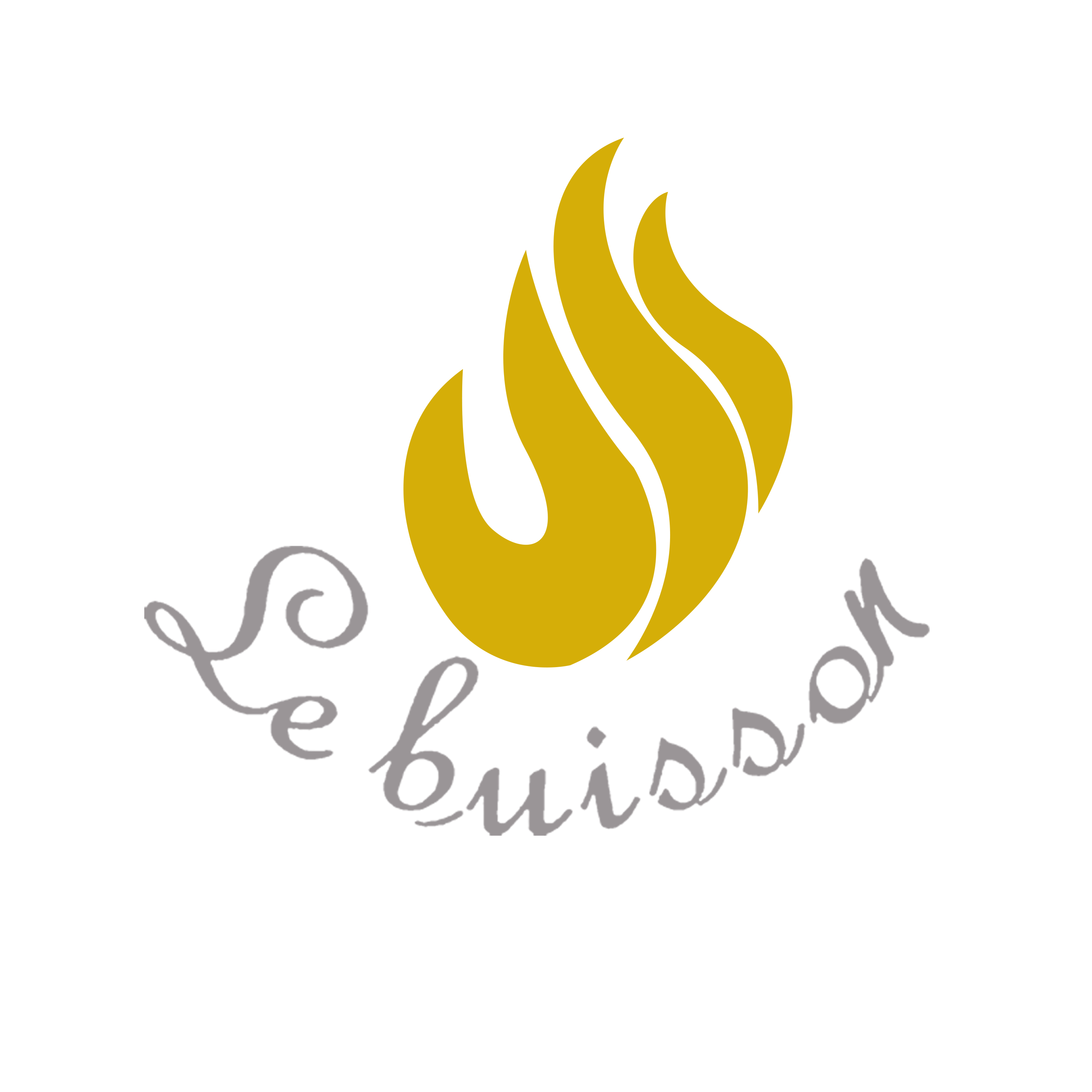 LE BUISSON CONSULTING